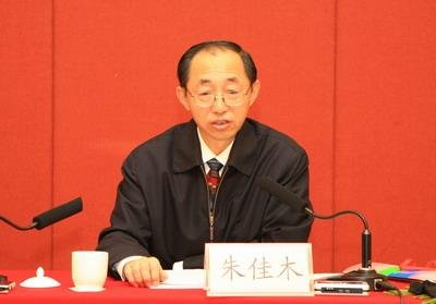 朱佳木的人物简历