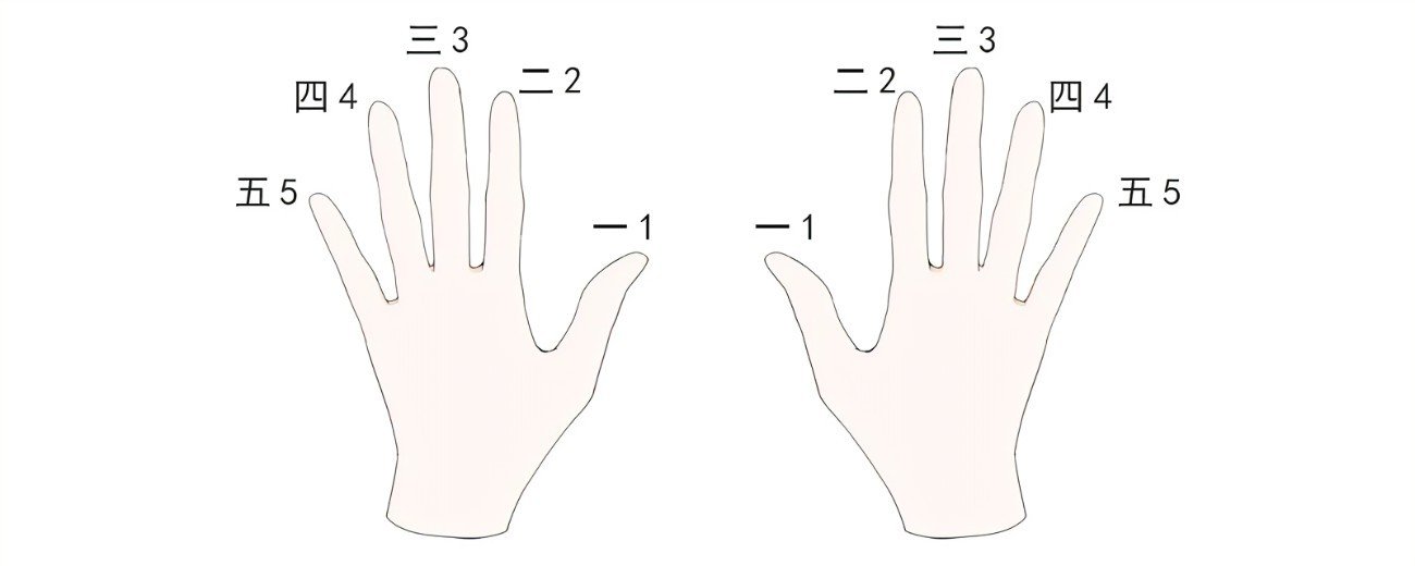 五指是哪五指