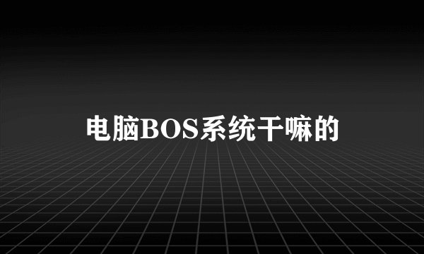 电脑BOS系统干嘛的