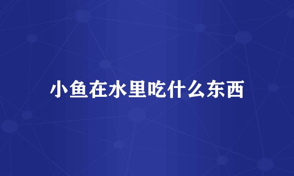 小鱼在水里吃什么东西