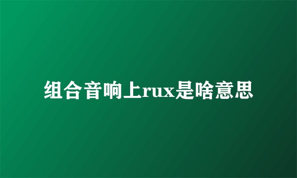 组合音响上rux是啥意思