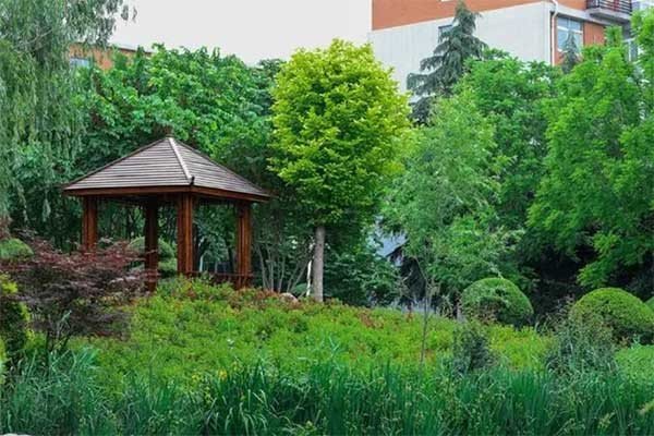 郑州一中有几个校区？