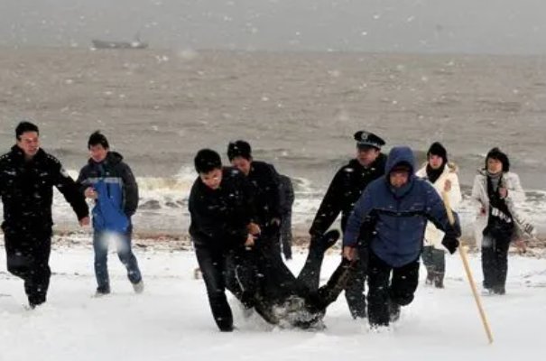 生托死拽是什么意思