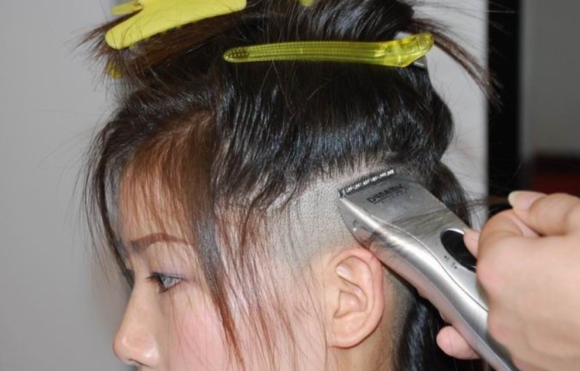 剃的拼音和词语