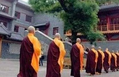 还俗是什么意思