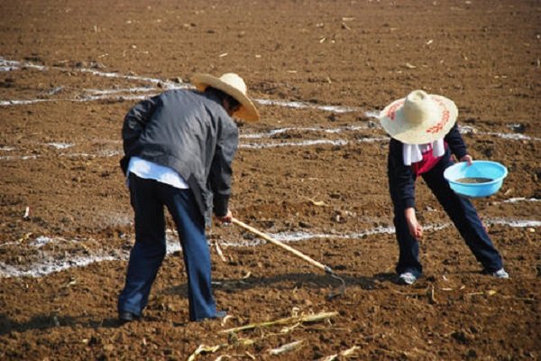 付出也不一定有回报，那我们还要不要无私付出？