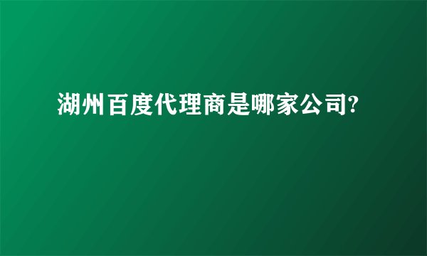 湖州百度代理商是哪家公司?
