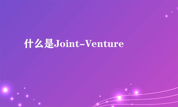 什么是Joint-Venture