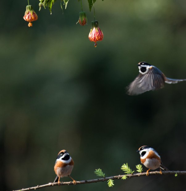 lip service什么意思