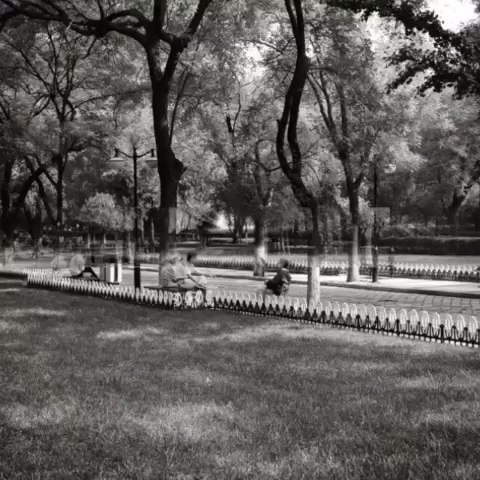 明我以德的中文版歌词