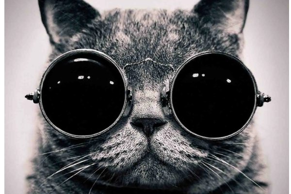 酷毙了什么意思