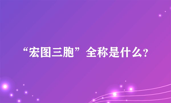 “宏图三胞”全称是什么？