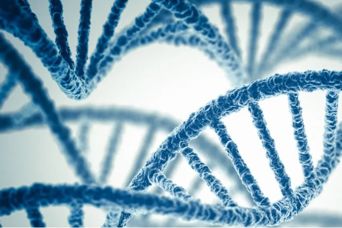 染色体组的概念