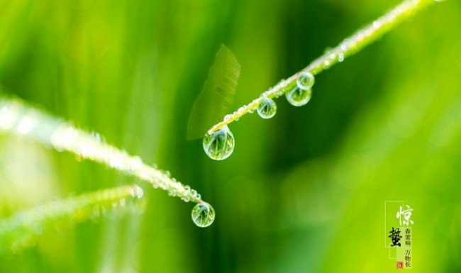 诗歌中春雷是什么的象征