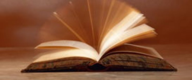 穿越两界的倒爷作者为什么进监狱？