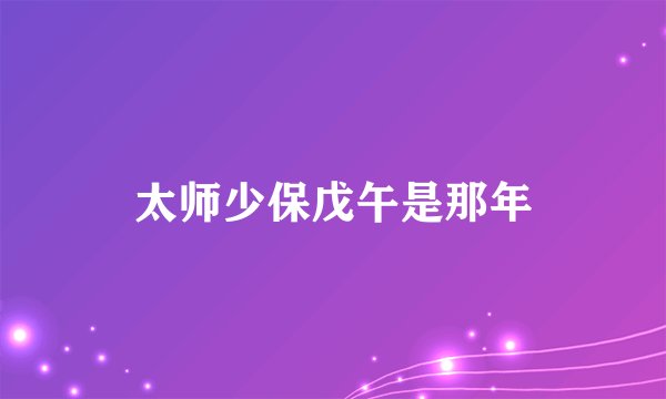 太师少保戊午是那年