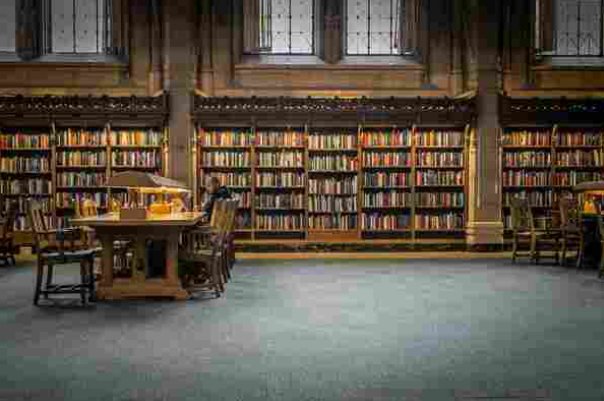 鹰院是哪个学院