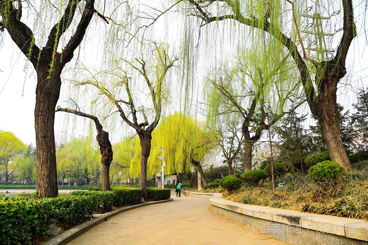 一个女生喜欢和很多男生聊天，这说明了什么啊？