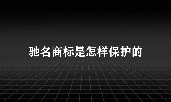 驰名商标是怎样保护的