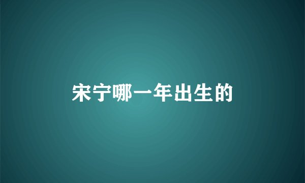 宋宁哪一年出生的
