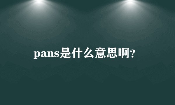 pans是什么意思啊？