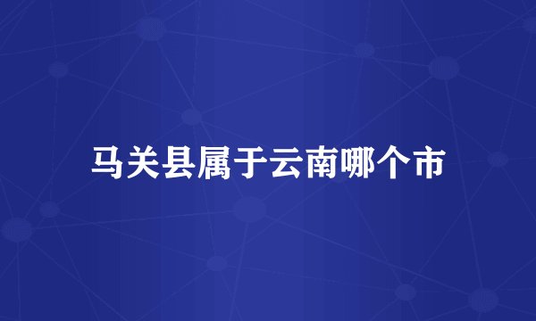 马关县属于云南哪个市
