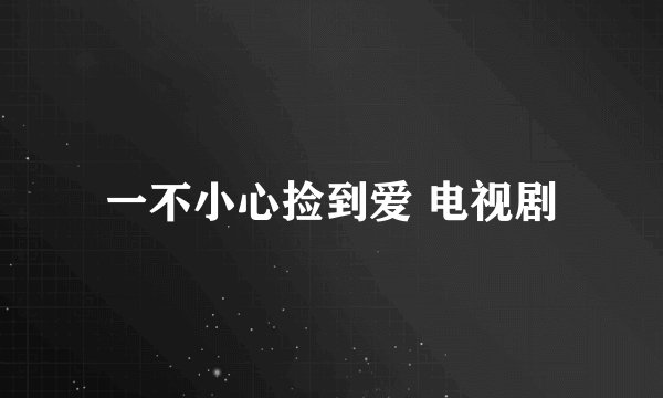 一不小心捡到爱 电视剧