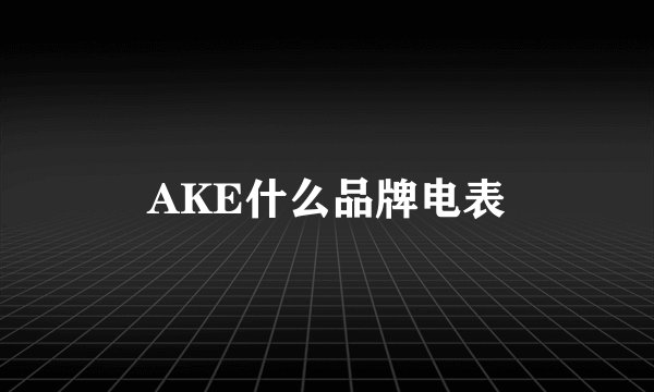 AKE什么品牌电表