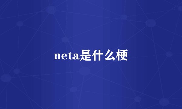 neta是什么梗
