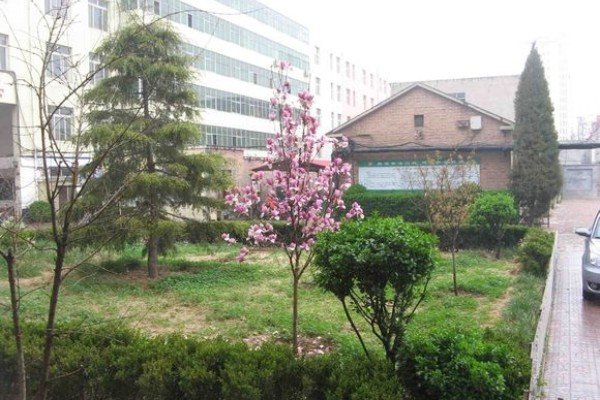 献县宏志中学招生电话