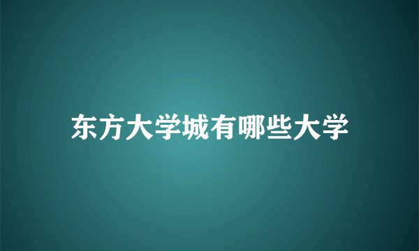 东方大学城有哪些大学