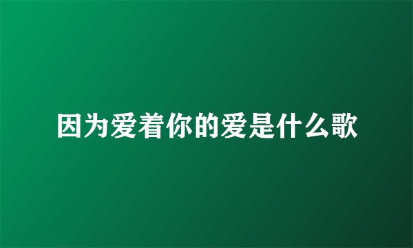 因为爱着你的爱是什么歌