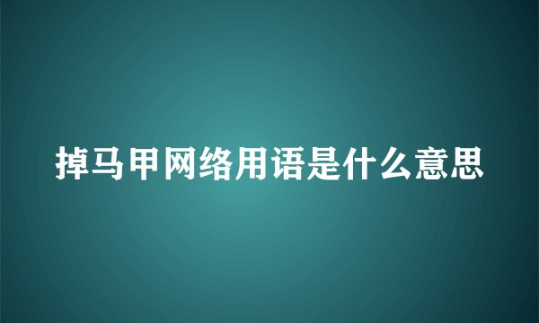 掉马甲网络用语是什么意思
