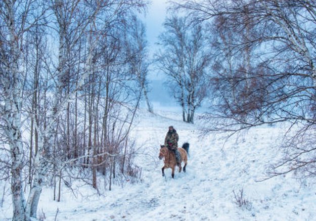 解释寒风刺骨什么意思