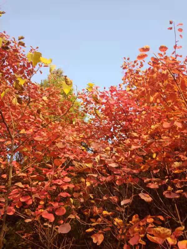 为什么我男朋友不和别的男人一样过节日他不给我送花礼物 也不浪漫怎么办我好伤心怎么办？