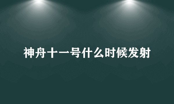 神舟十一号什么时候发射