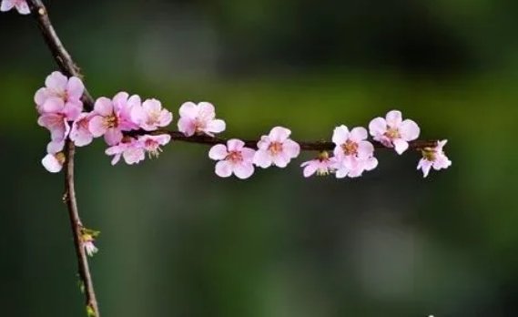 描述三月的美句开头