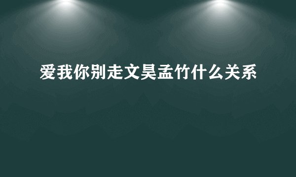 爱我你别走文昊孟竹什么关系