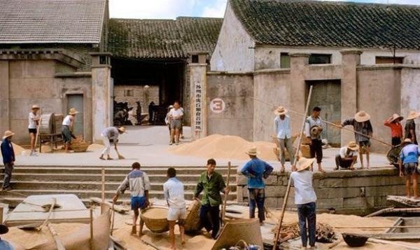 交公粮截止到哪一年