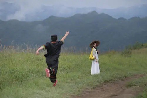 你莫走的歌词是什么？