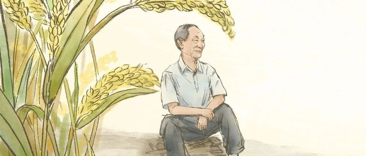 关于袁爷爷的手抄报内容