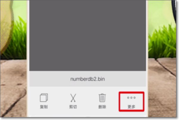 怎样打开手机里的. bin文件。?