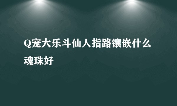 Q宠大乐斗仙人指路镶嵌什么魂珠好