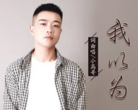 我以为对你一往情深,你会陪我看尽日月星辰是什么歌名？