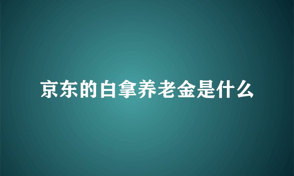 京东的白拿养老金是什么