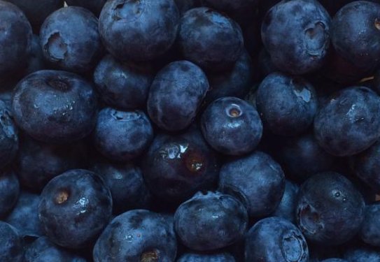 为什么蓝色的水果比较少见呢？