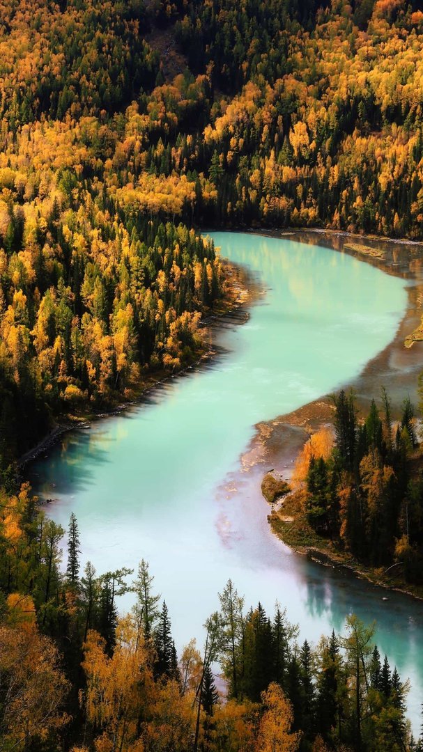 宿舍的宿多音字