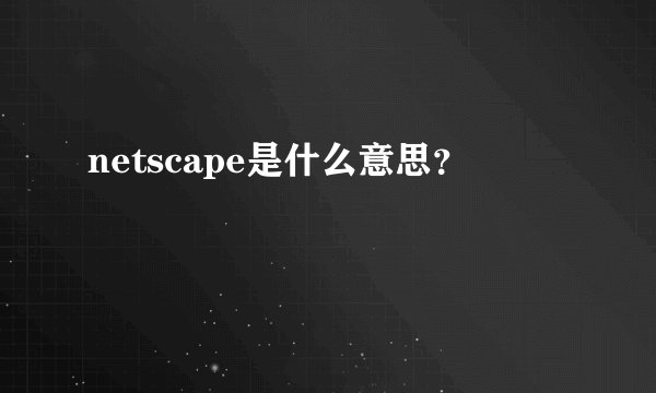 netscape是什么意思？