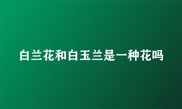 白兰花和白玉兰是一种花吗