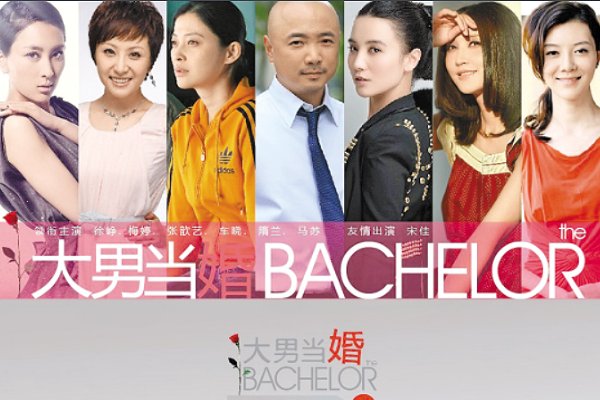 车晓主演的电视剧有哪些